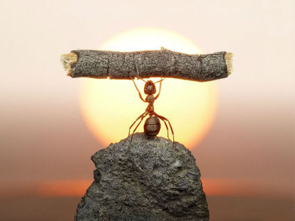 நினைத்தை நடக்க வைப்பவர்கள்