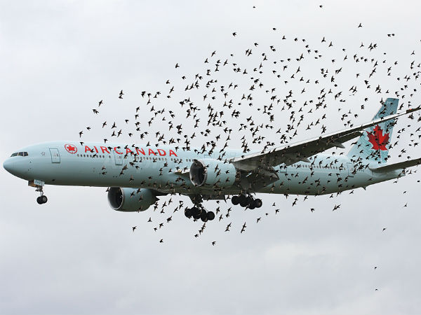 5 மாநிலங்கள்