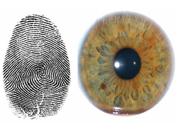 ஆதார் குளறுபடிகள்