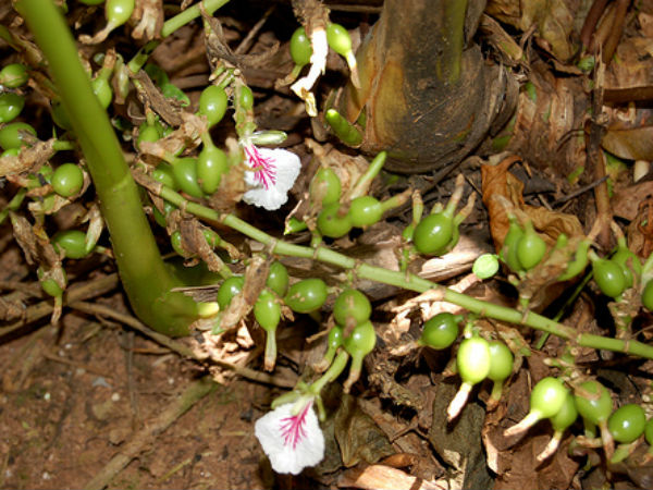 விவசாயம்