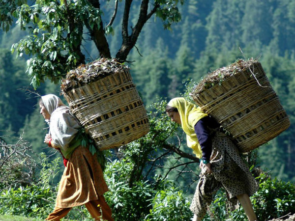 சுயவேலையில் 56.1% பெண்கள்