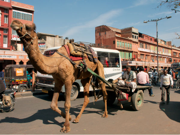 ஜெய்பூர் மற்றும் சண்டிகர்