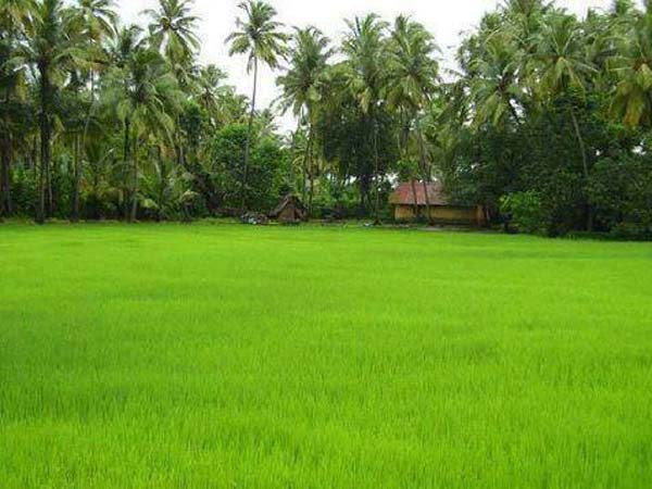 9வது உலக வர்த்தக அமைப்பு 