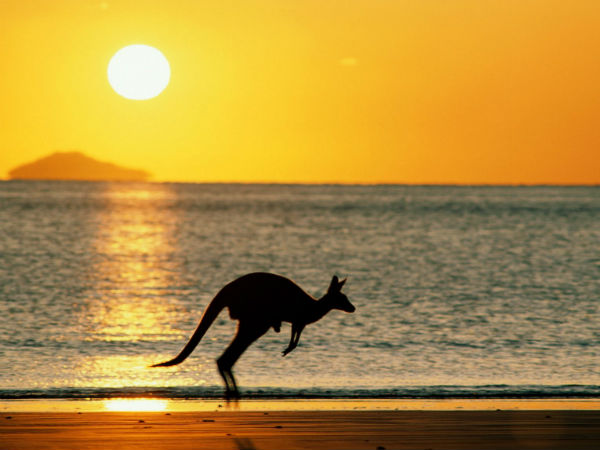 நிரந்தரக் குடியிருப்பாளர்கள் 