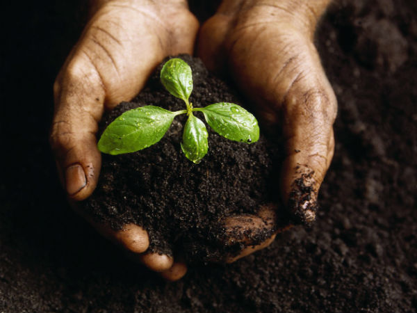 விவசாய உரத்திற்கான மானியம்