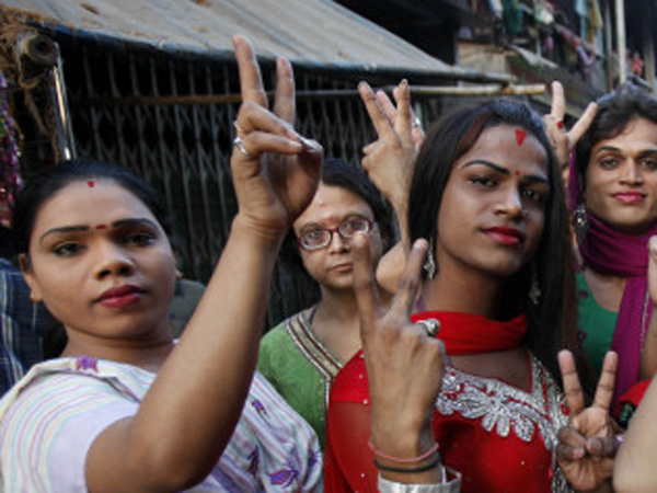 பாலின பிரிவு