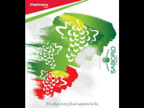  மூன்று முக்கியத் துறைகள்