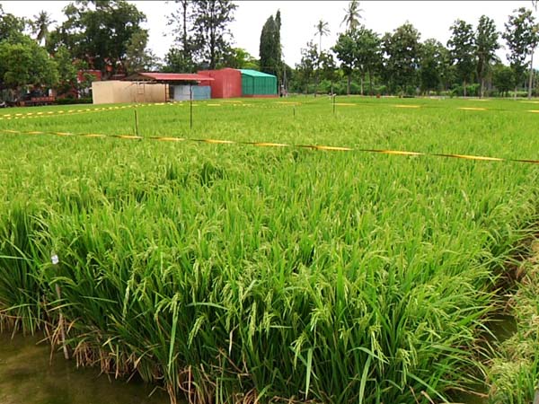 பொருளாதார வளர்ச்சி