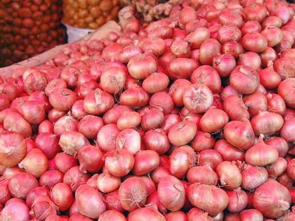 1 கிலோ 100 ரூபாய்..