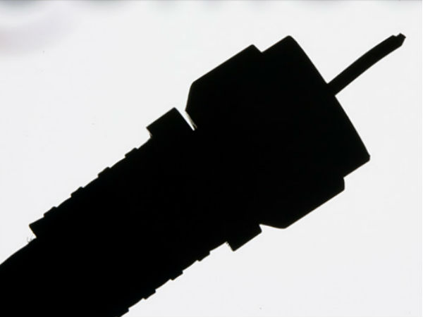 100% அன்னிய முதலீடு