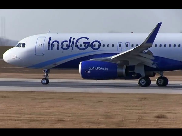 இண்டிகோ