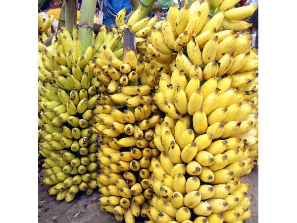 பழங்கள் விலை குறைவு