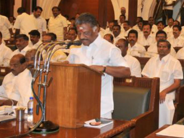 பேருந்துகள்