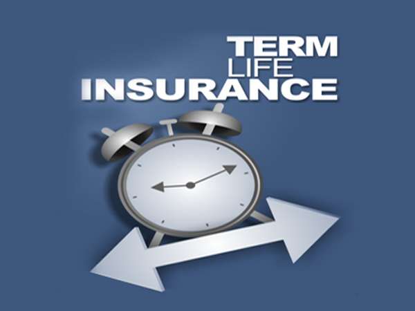 டேர்ம் மற்றும் என்டோமென்ட் காப்பீடு திட்டங்கள் என்றால் என்ன?