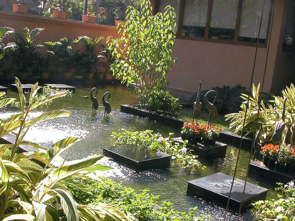 புல்வெளிகள் மற்றும் நீச்சல் குளங்கள்