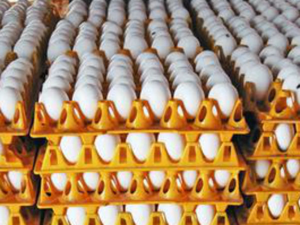 முட்டை விலை நிலவரம்