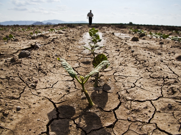 சந்தேகமான கூற்று