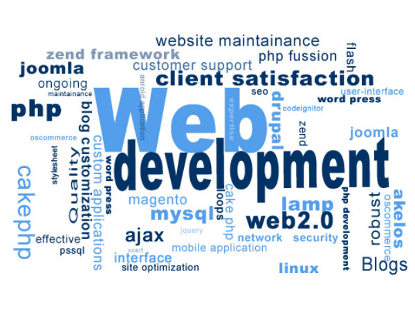 6.வலை மேம்பாட்டாளர்கள்: