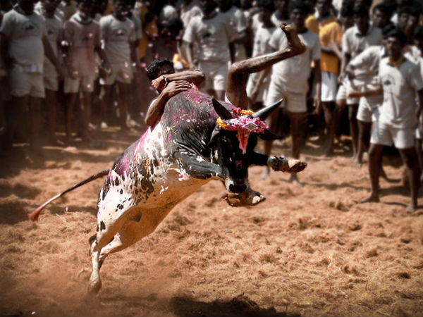 வர்த்தகம்