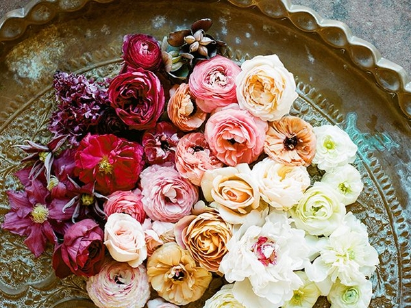 பேக்கிங் மற்றும் விநியோகம் 