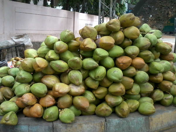 வைக்கம்