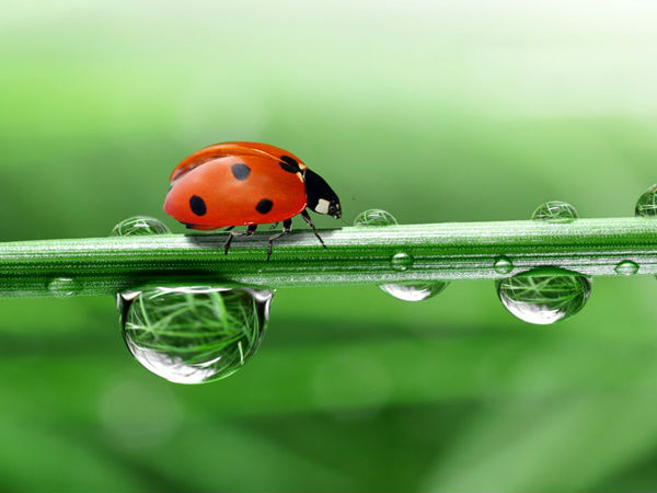 அதிகச் சம்பளம் அளிக்கும் துறைகள்