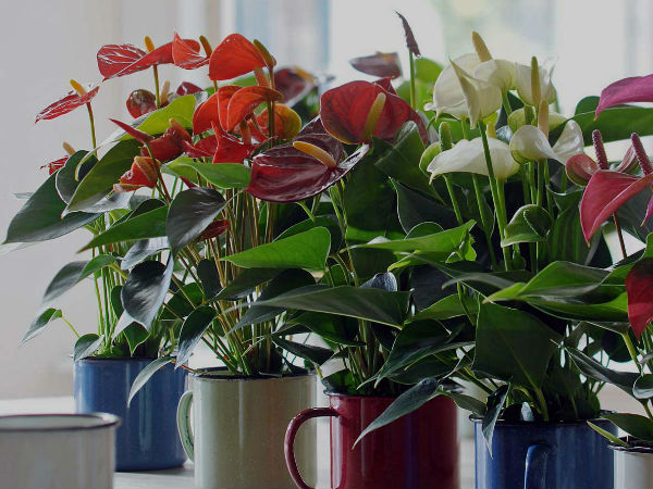 எளிதல்ல 