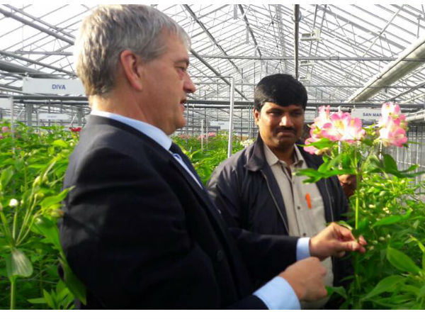 வாழக்கை சுருக்கம் 