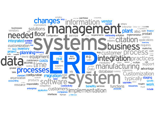 ஐயப்பா ஒரு மனித ERP