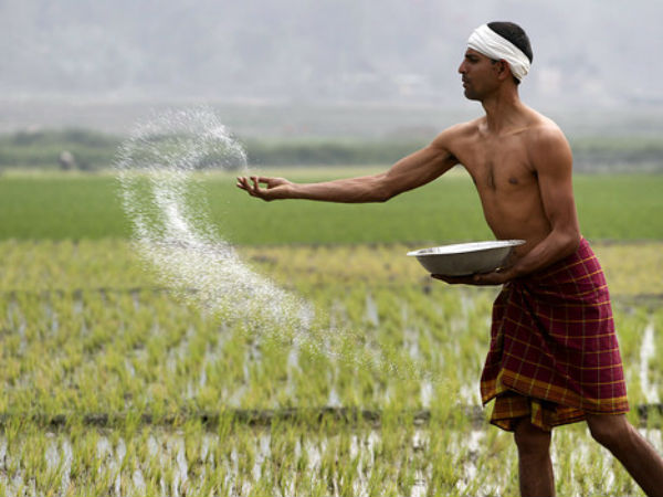 விவசாயத் துறை 