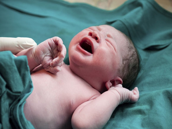 வியட்நாம் 