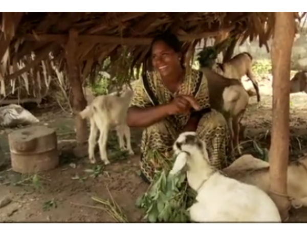 குழு கடன் அளிப்பதே தன் விருப்பம் 