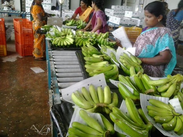 பிற மாநிலங்களின் நிலை 