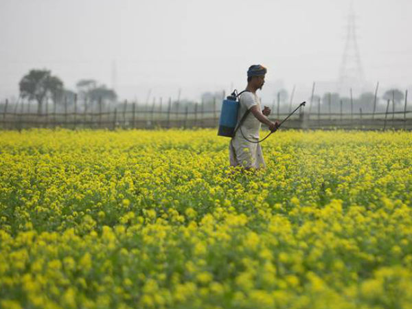 முதலீடு செய்யும் பணத்திற்கு முழுமையான மதிப்பு 