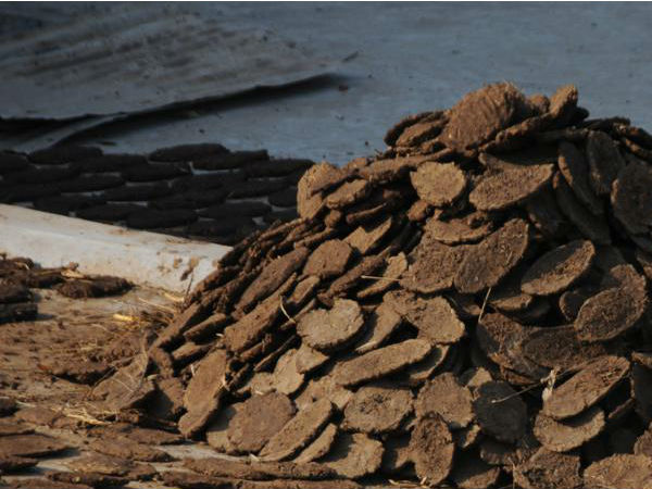 கழிவு என்றும் ஏதுவும் இல்லை 