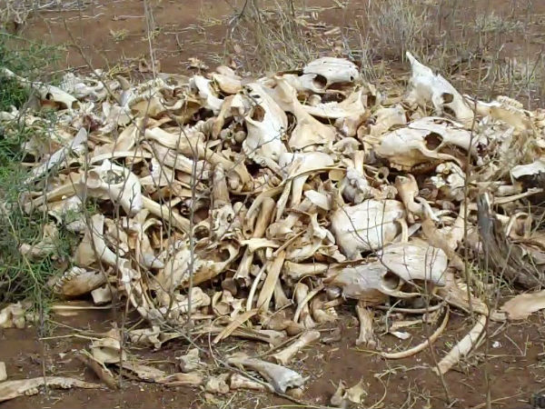 உரத்துறை 