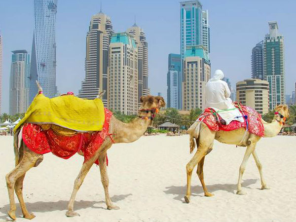 சுற்றுலாப் பயணிகள் கூட வாட் செலுத்த வேண்டுமா? 