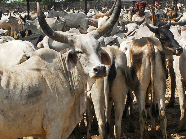 உத்திரப் பிரதேசம்