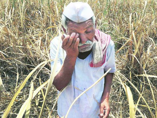 பிற மாநிலங்கள்