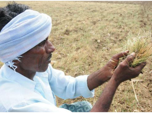 இந்தத் துறையில் அதிகரித்து வரும் NPA கள்: