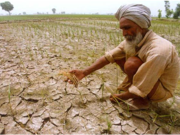  குறிப்பிடத்தக்க வங்கிகளின் விவசாயக் கடன்