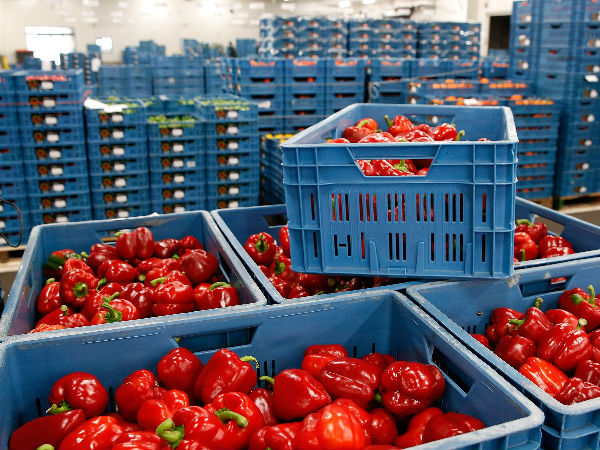 உணவு இறக்குமதி