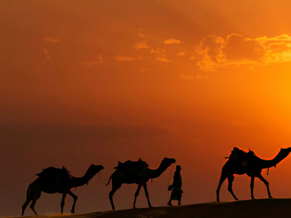 13. ராஜஸ்தான் 