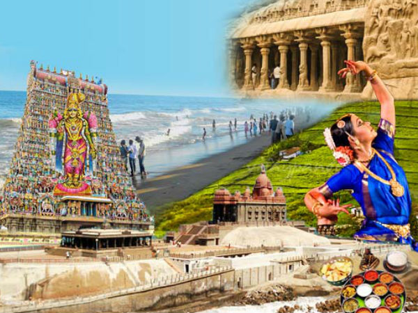 6. தமிழ்நாடு 