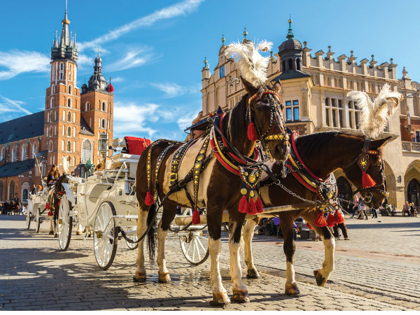 போலாந்து 