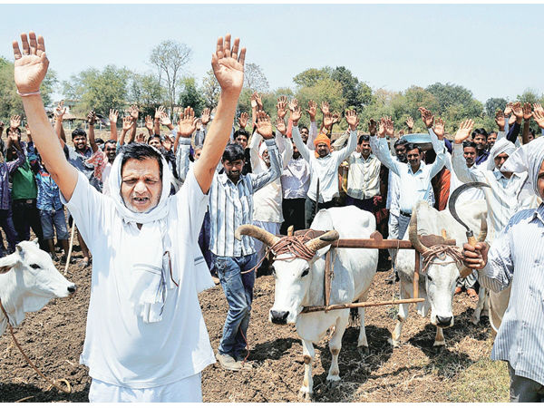  விவசாயிகள் கடன்