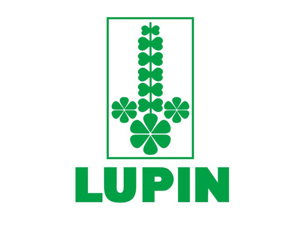 டாப் 5 லாபம் அளித்த பங்குகள் 