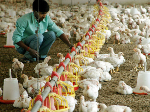 45 நாட்கள்