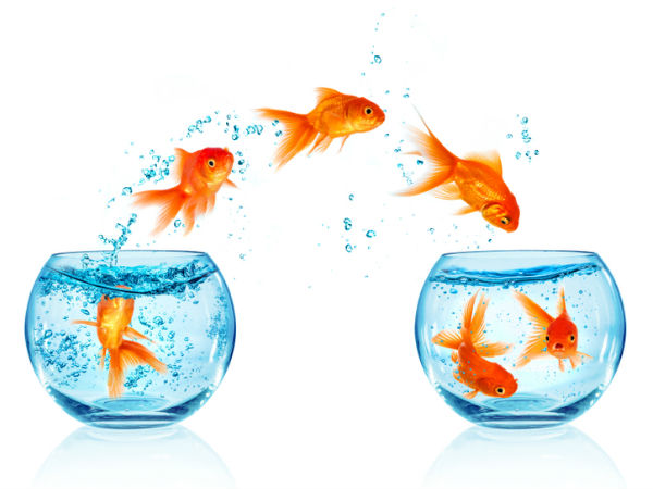 ஆட்டோ டிரான்ஸ்பர்