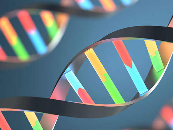 #2 பாதுகாப்பான வேலை